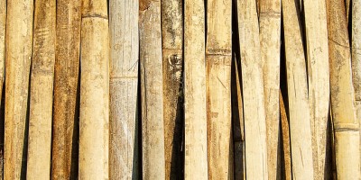 Czy warto stawiać na podłogi z bambusa?
